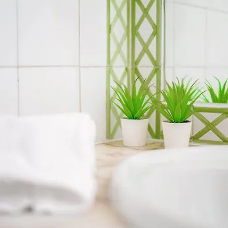 Boho * 阿尔布费拉