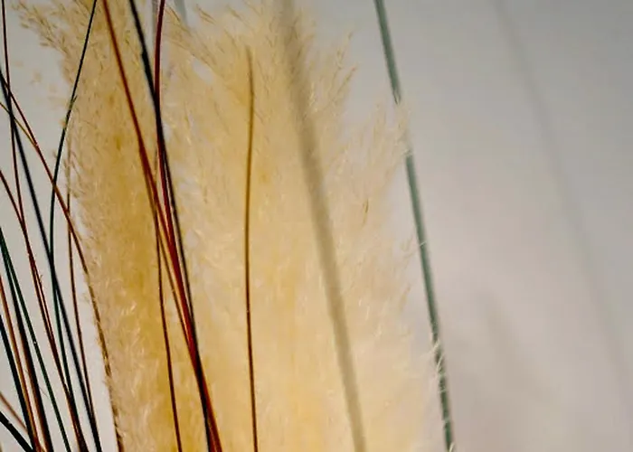 아파트 Boho 알부페이라