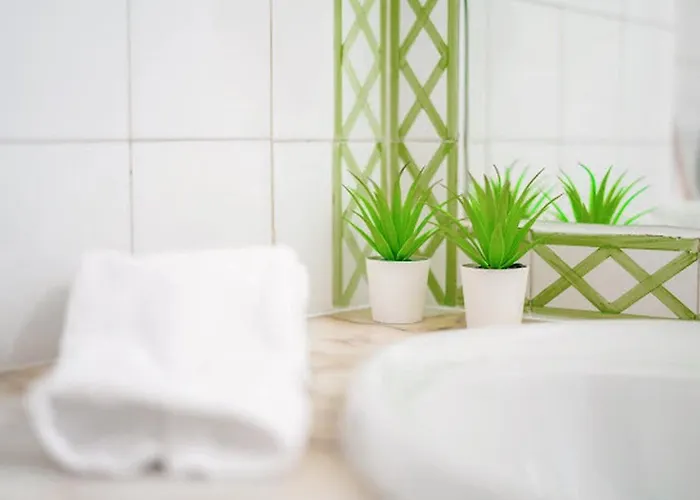 Boho * 알부페이라