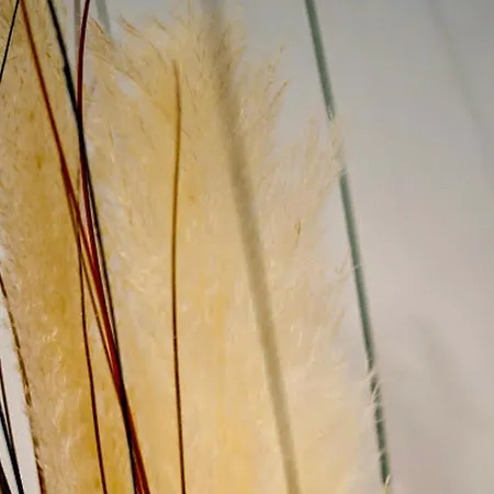 Apartamento Boho Albufeira